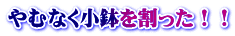 ނȂII